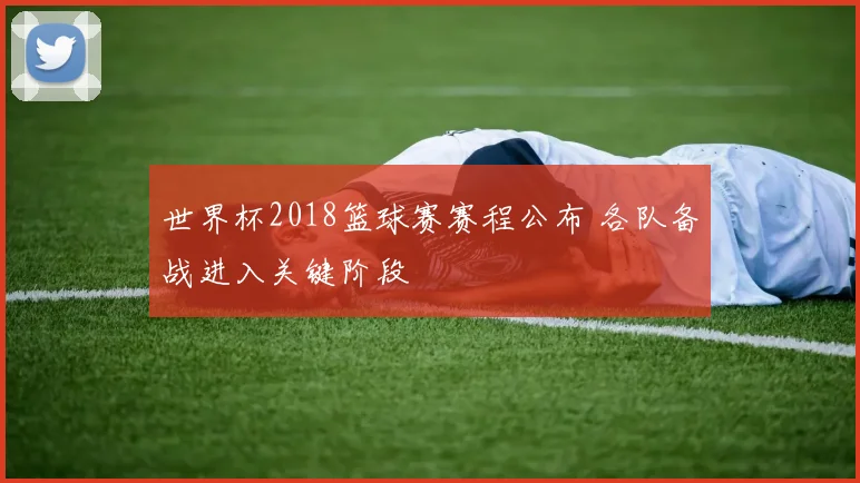 世界杯2018篮球赛赛程公布 各队备战进入关键阶段